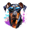 Doberman with sunglasses