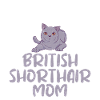 Cadeaux British Shorthair