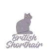 British Shorthair Gifts