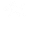 Cat with sunglasses and volleyball