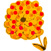 Dotty Flower