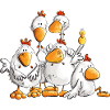 Funny Chickens for Chicken Lovers