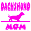 Dachshund