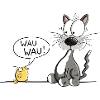 Katze Und Vogel Kommunikation Fremdsprache