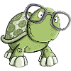 Turtle with glasses