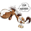 Zum Wiehern Pferd Schecke Lustiges Pferd