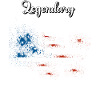 Agent sportif US