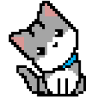 Cute Cat