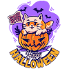 Kitten with pumpkin Halloween