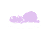Nilpferd