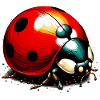 Ladybird