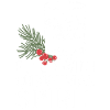 Rempli d’ de Noël