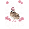 Caille Oiseau Cailles