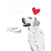 Chien Labrador