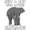 Elephant Animal Elephants Zoo