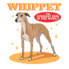 Whippet Petits Lévriers Anglais Cadeaux