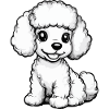 Poodle Dog Comic Cute