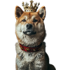 Akita