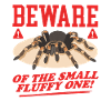 Tarantula Tarantula Spider Gift