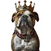 Bouledogue