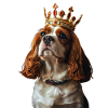 Cavalier King Charles Spaniel