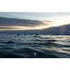 Crépuscule sur les vagues