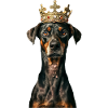 Doberman