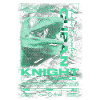 Cuban Knight Anole Reptile Keeper Lizard