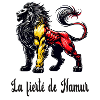 Namur lion flag design