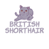 British Shorthair Gifts