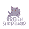 British Shorthair Gifts