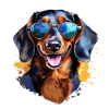 Dachshund with sunglasses