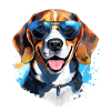 Beagle with sunglasses