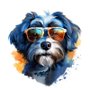 Bolonka Zwetna with sunglasses