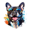 Frenchie with sunglasses