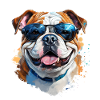 Bulldog with sunglasses