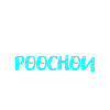 Pouchon