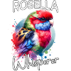 Rosella Parakeet Whisperer