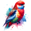 Rosella Gift
