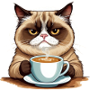 Chat du matin