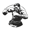 Compétence de boxe