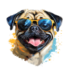 Pug with sunglasses