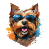 Yorkie with sunglasses
