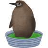 Pingouin pesto