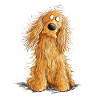 Happy Cocker Spaniel