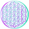 Fleur de Vie