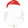 Dear Santa I can explain
