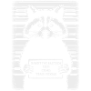 Raccon mugshot