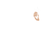 Jésus-Christ Christianisme Dieu Bible
