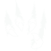 Animal Claws 001